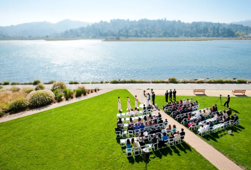 wedding party on lawn at acqua hotel with bay in background